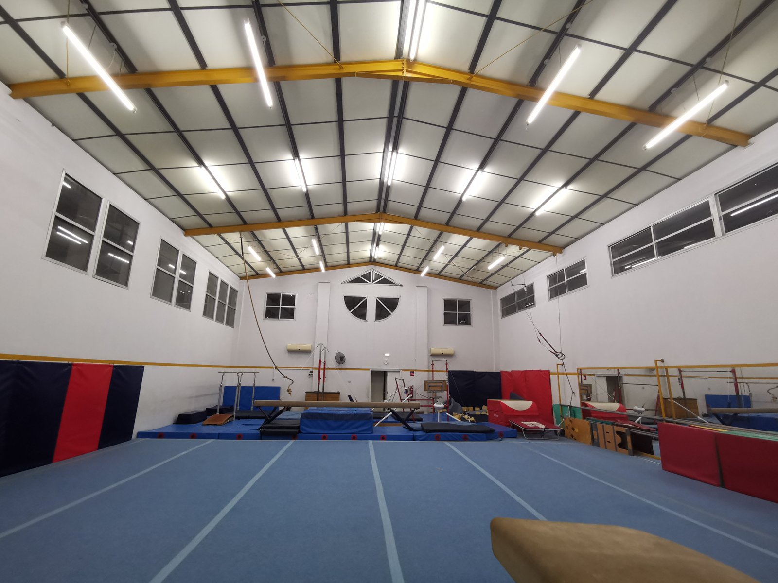 gymnastics