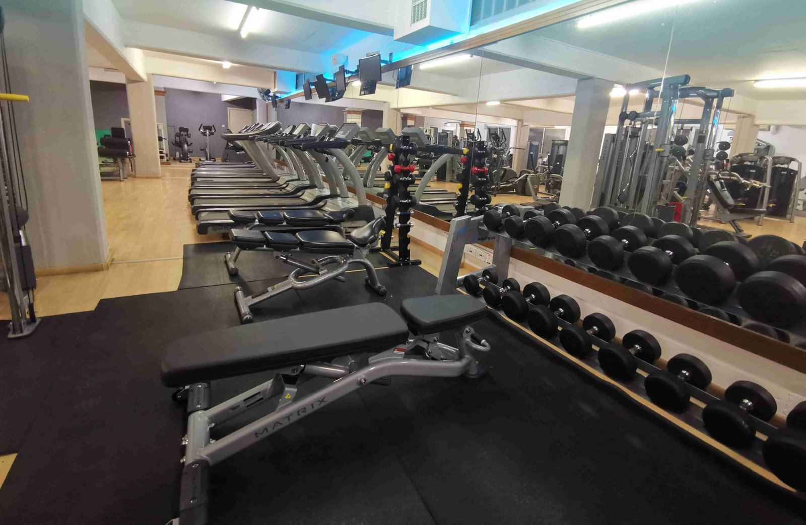 gym_web_photo_3