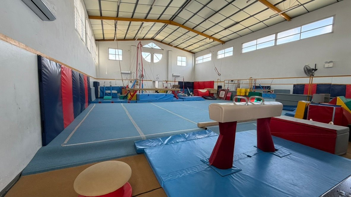Artistic & Rythmic Gymnastics Lessons in Limassol - Vikentia Gym